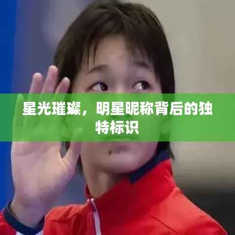 花香鸟语 第3页