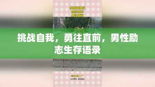 挑战自我，勇往直前，男性励志生存语录