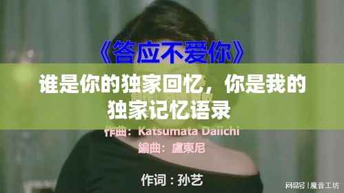 谁是你的独家回忆,你是我的独家记忆语录