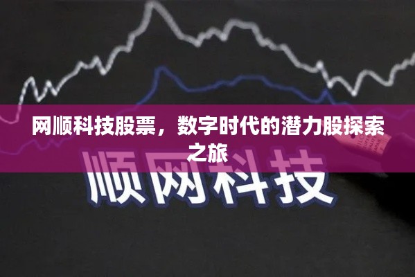 网顺科技股票,数字时代的潜力股探索之旅