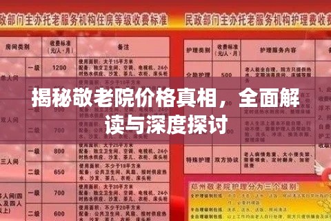 揭秘敬老院价格真相,全面解读与深度探讨