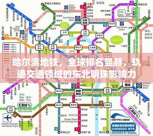 成功案例 第155页