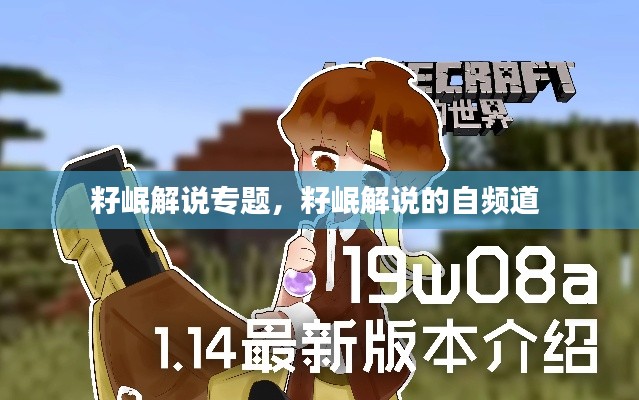 籽岷解说专题,籽岷解说的自频道