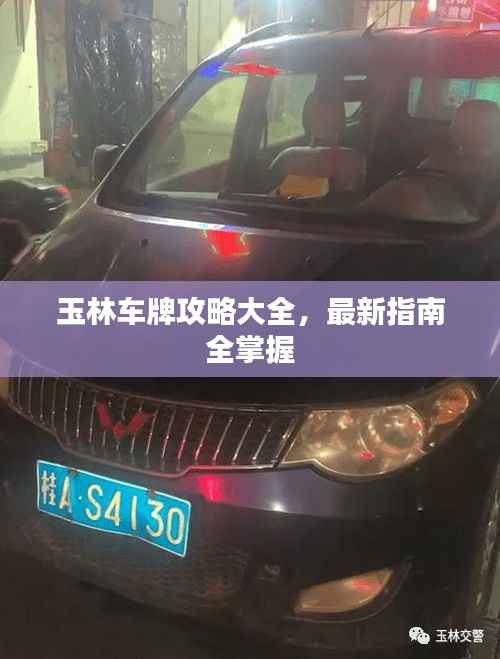 玉林车牌攻略大全,最新指南全掌握