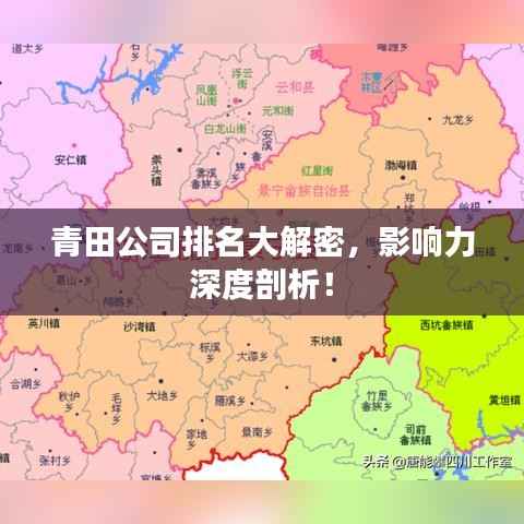 青田公司排名大解密,影响力深度剖析!