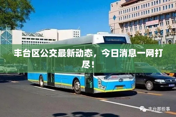 丰台区公交最新动态,今日消息一网打尽!