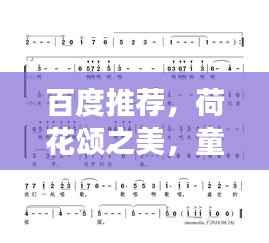 百度推荐,荷花颂之美,童丽歌词的魅力展现