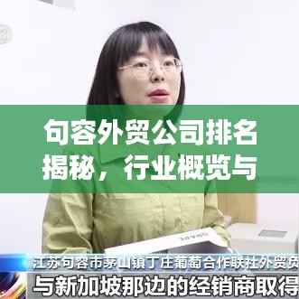 句容外贸公司排名揭秘，行业概览与竞争力分析