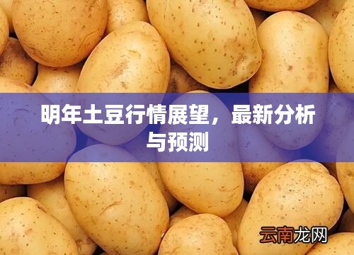 夭桃秾李 第2页