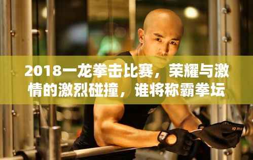 2018一龙拳击比赛,荣耀与激情的激烈碰撞,谁将称霸拳坛?