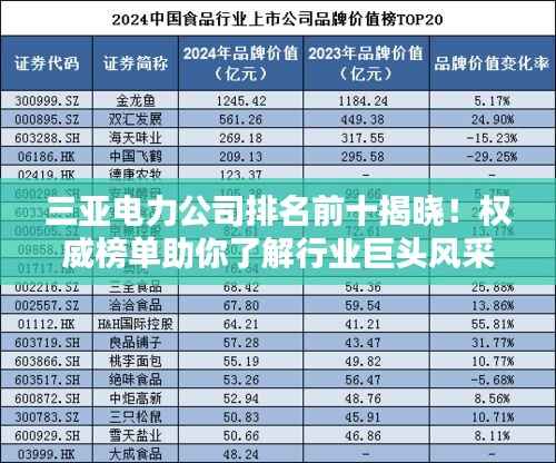 三亚电力公司排名前十揭晓!权威榜单助你了解行业巨头风采