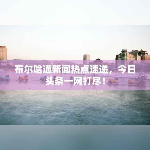 布尔哈通新闻热点速递,今日头条一网打尽!
