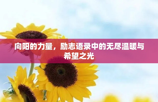 向阳的力量,励志语录中的无尽温暖与希望之光