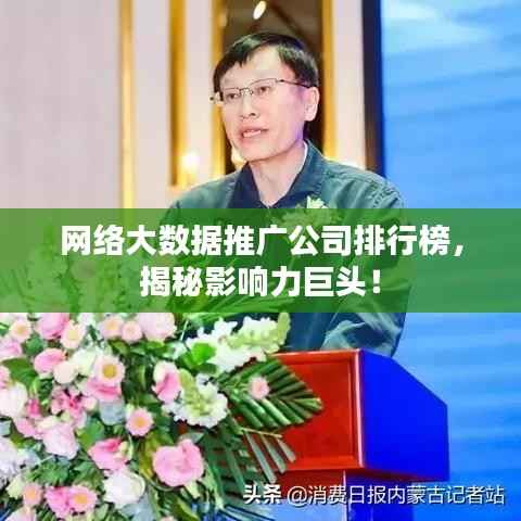 网络大数据推广公司排行榜,揭秘影响力巨头!