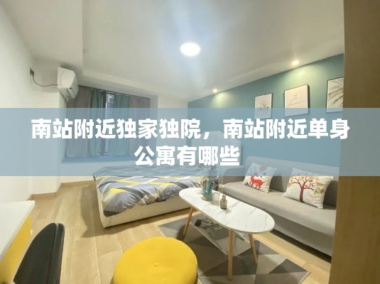 南站附近独家独院,南站附近单身公寓有哪些