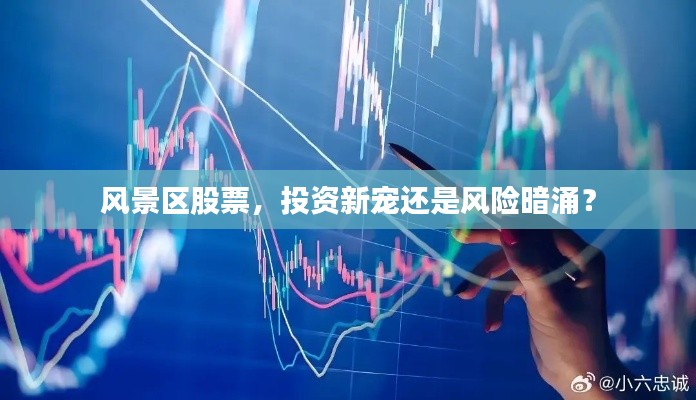 风景区股票,投资新宠还是风险暗涌?