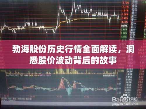勃海股份历史行情全面解读,洞悉股价波动背后的故事