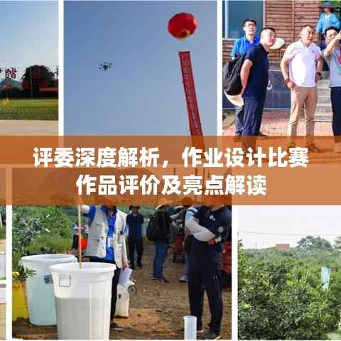 评委深度解析,作业设计比赛作品评价及亮点解读