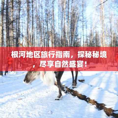 根河地区旅行指南,探秘秘境,尽享自然盛宴!