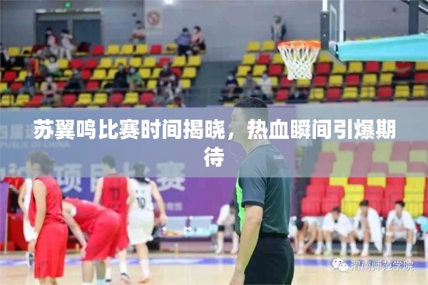 苏翼鸣比赛时间揭晓,热血瞬间引爆期待