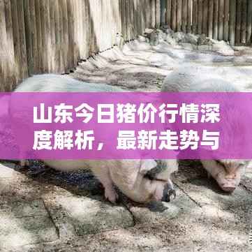 仓储物流园 第86页