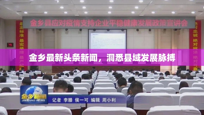 金乡最新头条新闻,洞悉县域发展脉搏