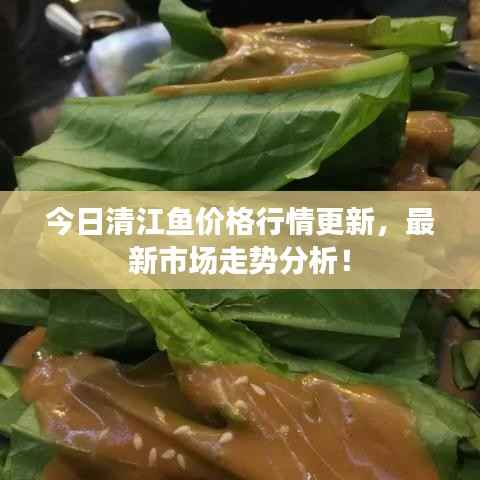 今日清江鱼价格行情更新,最新市场走势分析!